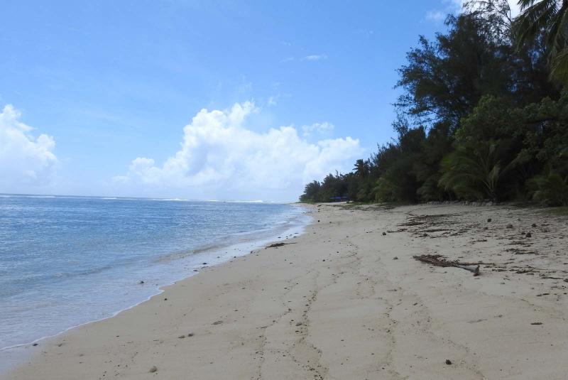 raro2