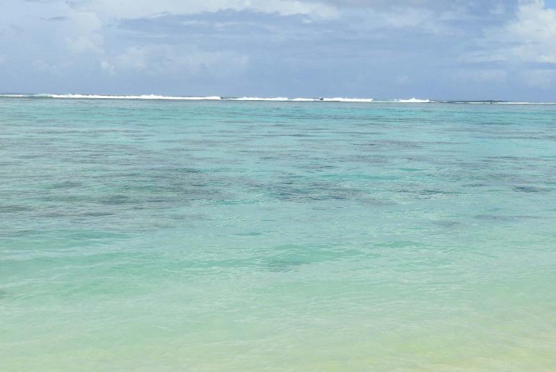 raro3