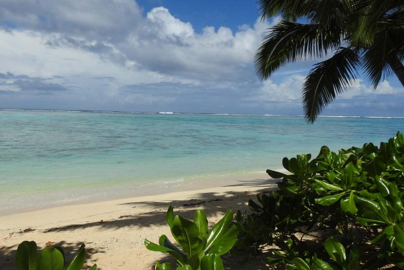 raro5