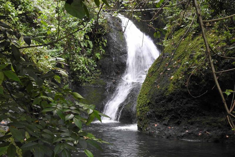 raro7